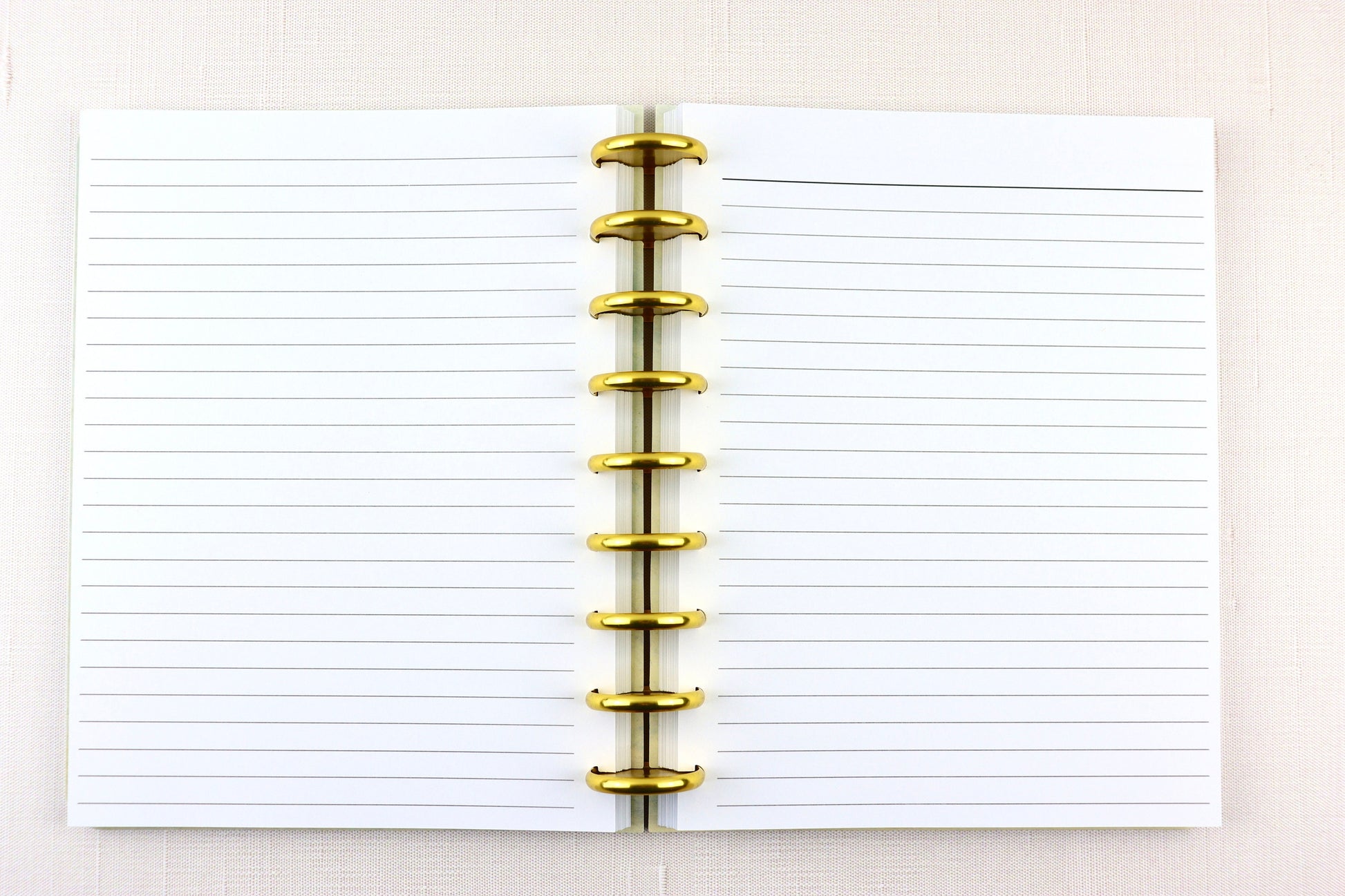 Deluxe Notebook, Gold Discs, Printed Lined, Notes Pages, Metal Discs, Book Notes, Gift for Teacher, Reading Journal, Happy Planner