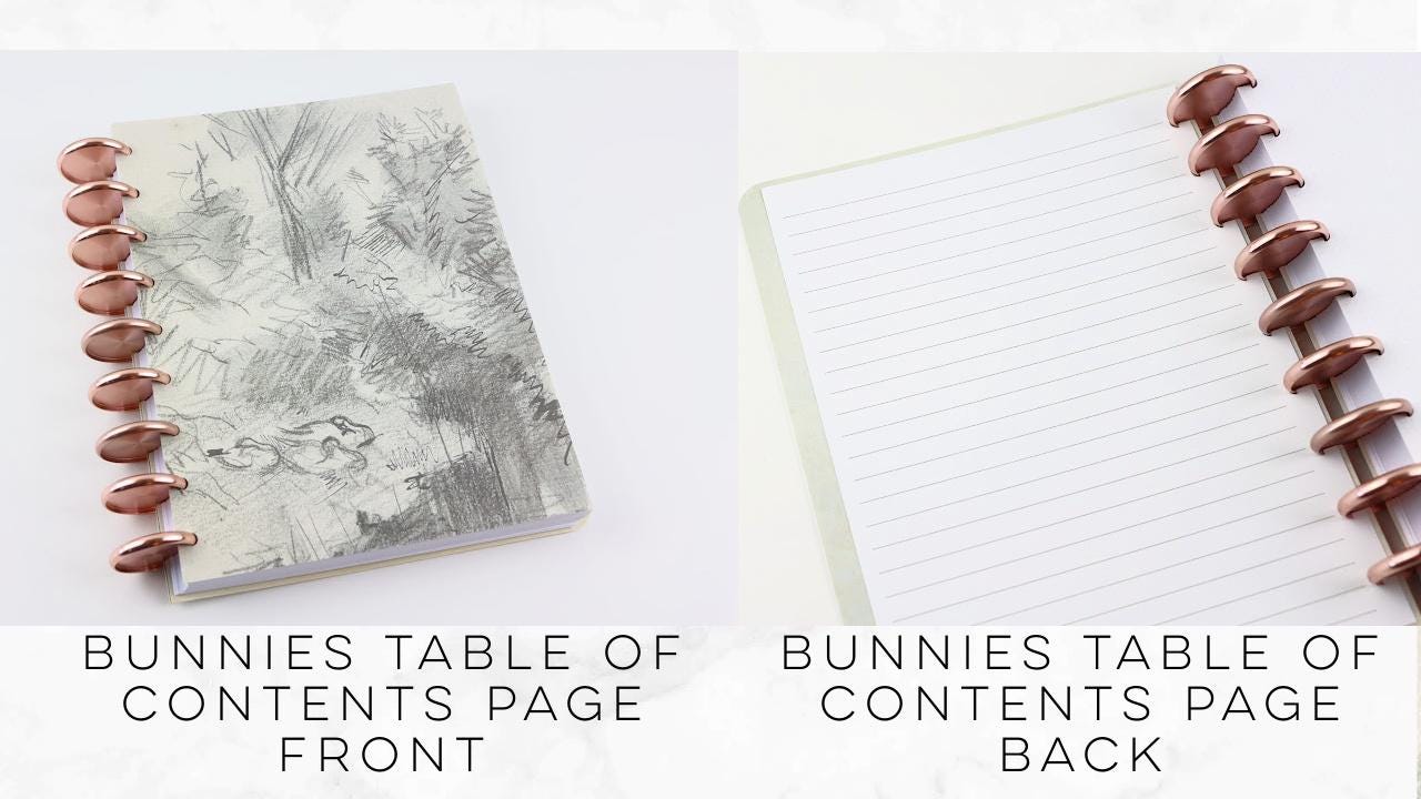 Deluxe Dot Grid Notebook, Rose Gold, Copper, Gold Discs, Misty Landscape, Book Notes, Bullet Journal, Reading Journal, Classic Happy Planner