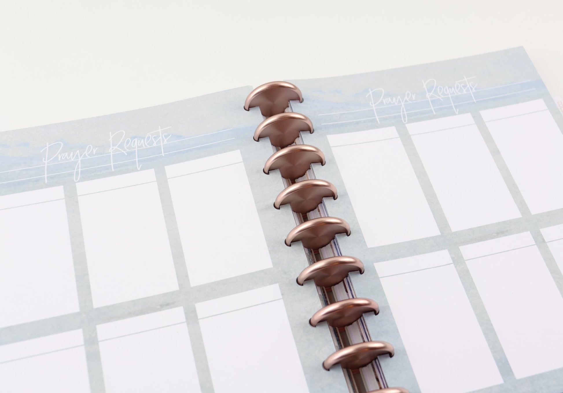 Prayer Requests Extension Pack, 80 Boxes, Faith Journal, 11 Printed Pages, Classic Happy Planner Size, Prayer Journal, Disc, War Binder