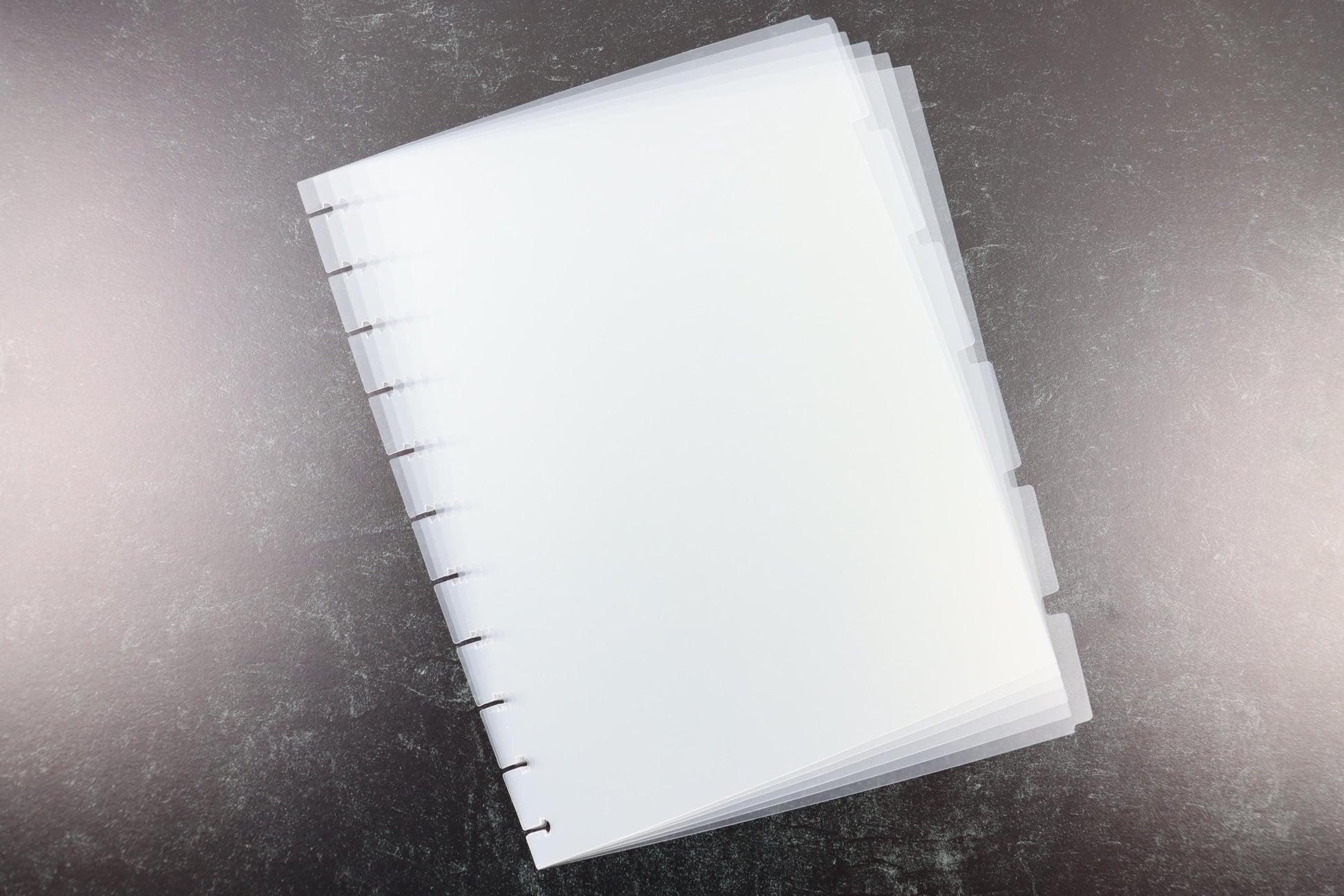 8.5" x 11" Happy Planner Dividers, 6 Clear Dividers, Blank Side Tabs, frosted, Minimalist Discbound, disc, pre-punched plastic, Big Size