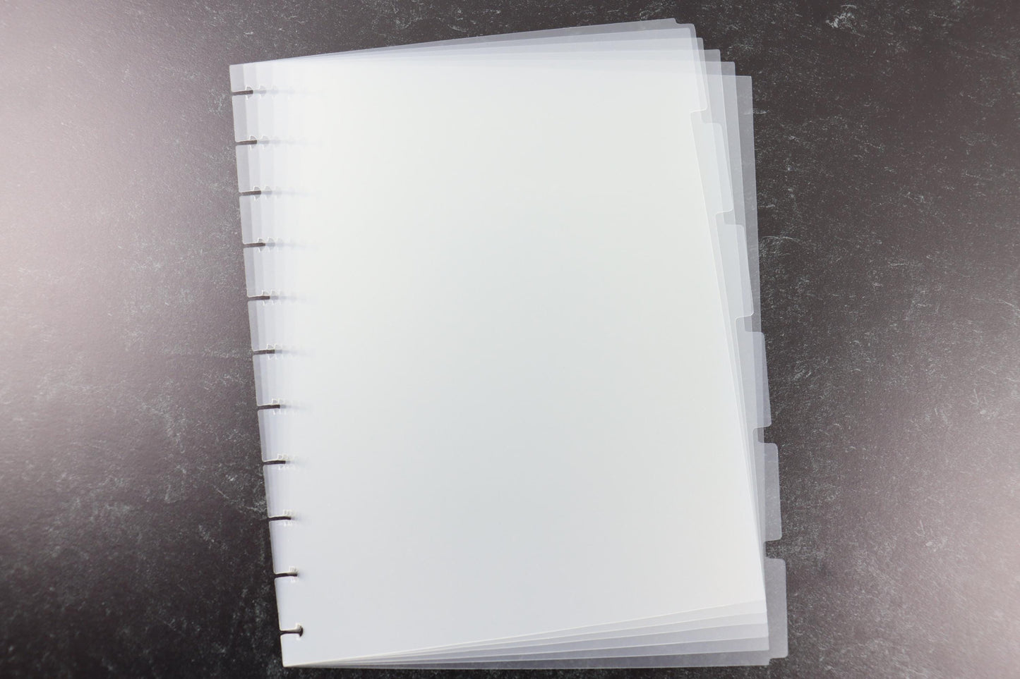 8.5" x 11" Happy Planner Dividers, 6 Clear Dividers, Blank Side Tabs, frosted, Minimalist Discbound, disc, pre-punched plastic, Big Size