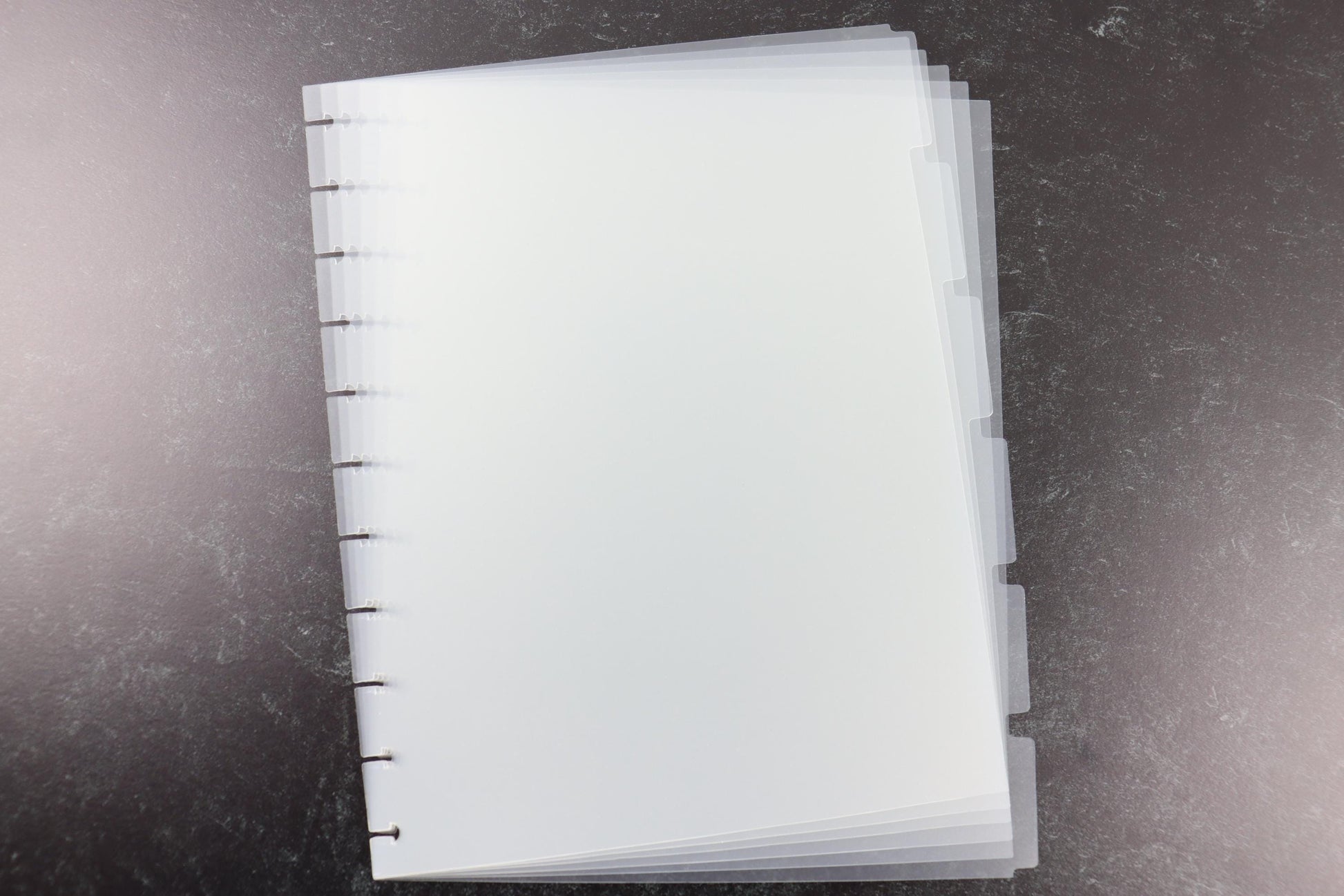 8.5" x 11" Happy Planner Dividers, 6 Clear Dividers, Blank Side Tabs, frosted, Minimalist Discbound, disc, pre-punched plastic, Big Size