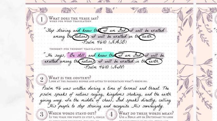 Verse Mapping Beginner Extension Pack, Faith Journal, 22 Printed Pages, Classic Happy Planner, Bible Study, Prayer, Disc, War Binder