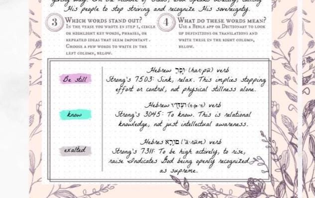 Verse Mapping Beginner Extension Pack, Faith Journal, 22 Printed Pages, Classic Happy Planner, Bible Study, Prayer, Disc, War Binder